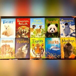 Usborne Animal 10 Book Box Set